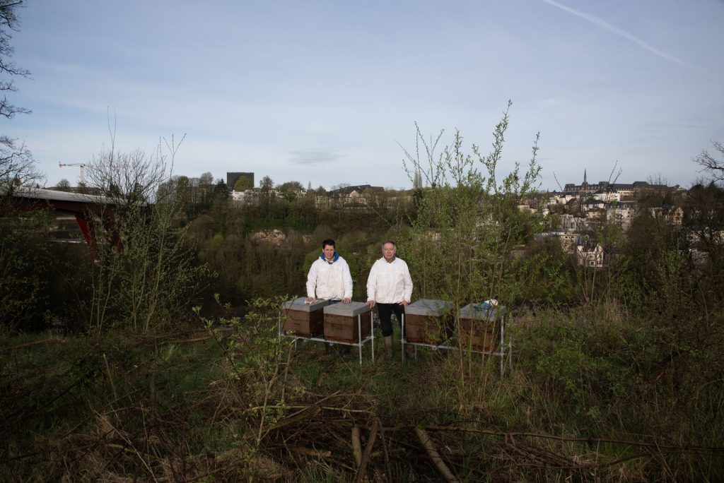 Image : Deux apiculteurs derrière les ruches installées auprès de lârrêt Pfaffenthal-Kirchberg